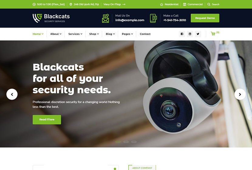 بلاك كاتس - CCTV & Security WordPress Theme
