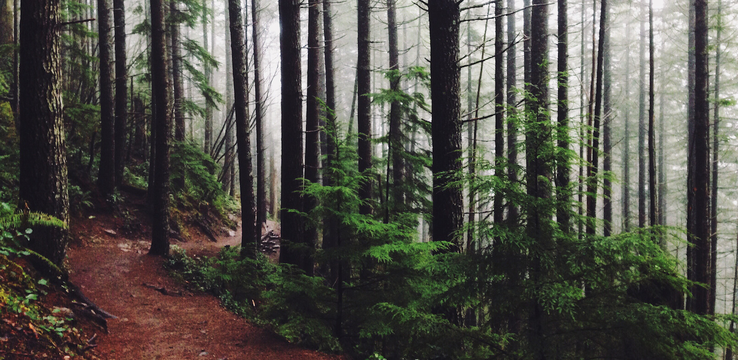 圖片來源：Valeriy Poltorak