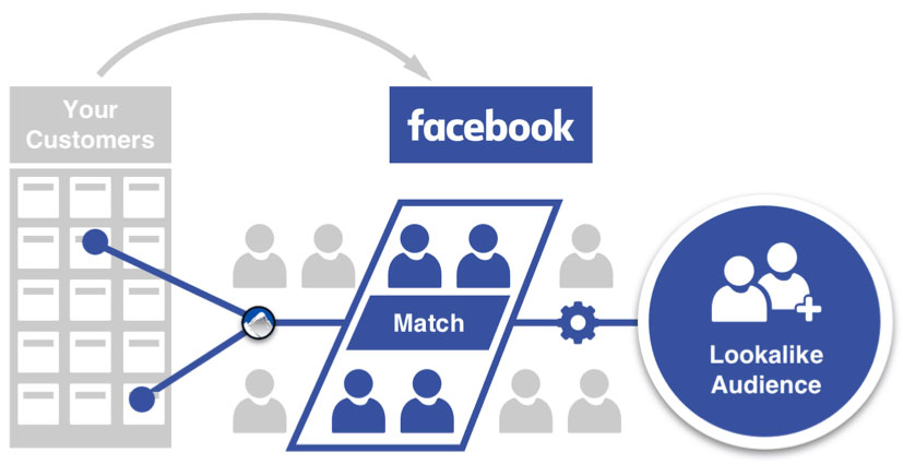 Pubblico personalizzato di Facebook