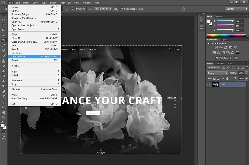 salva per web photoshop