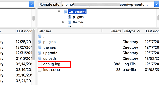 흰색 화면 오류 5를 해결하는 방법 Debug Log File Example