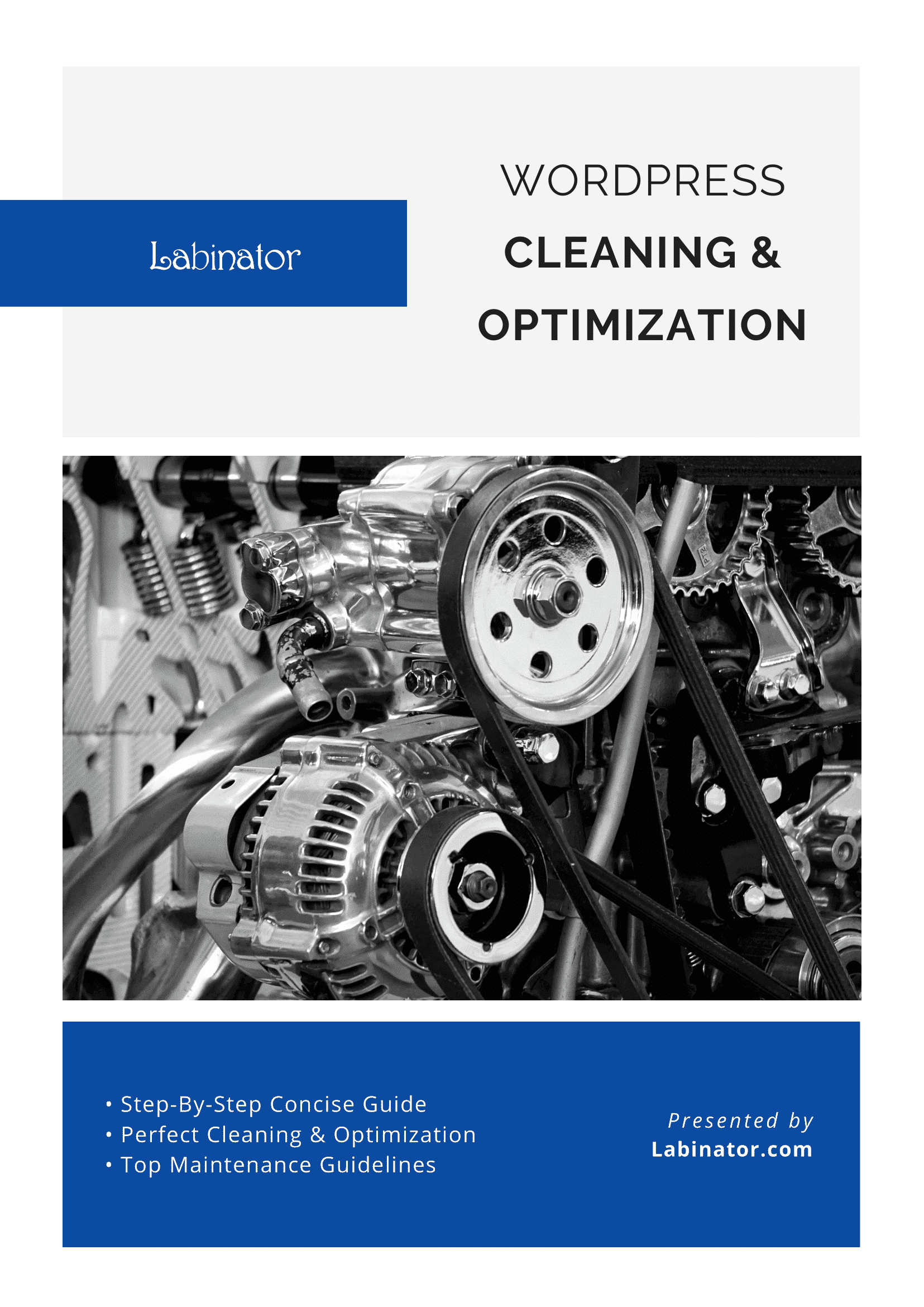 최고의 플러그인을 찾을 수 있는 곳(2022) 11 WordPress Cleaning & Optimization