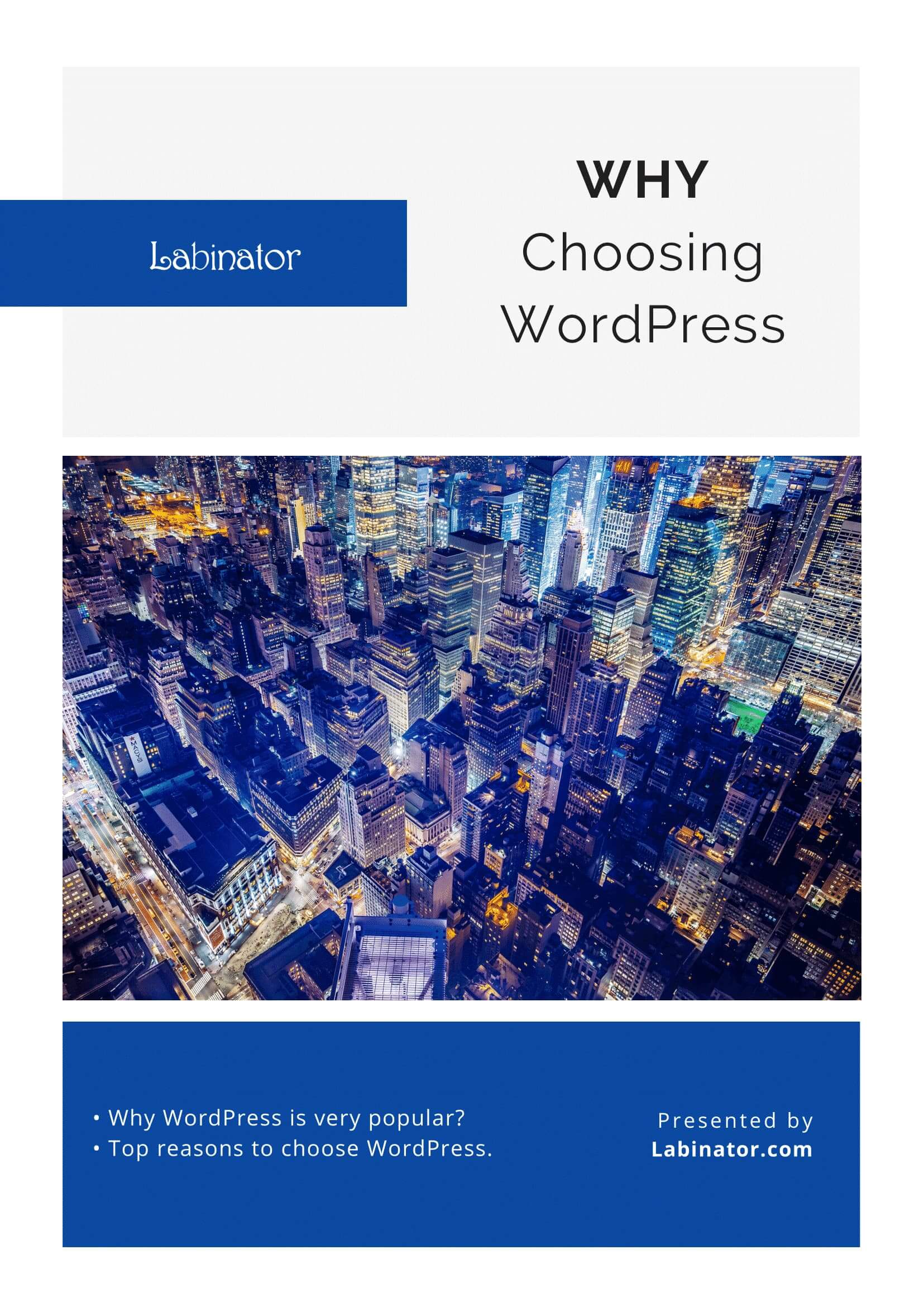 Ultimate Caching Plugin の比較 (2022) 15 Why WordPress