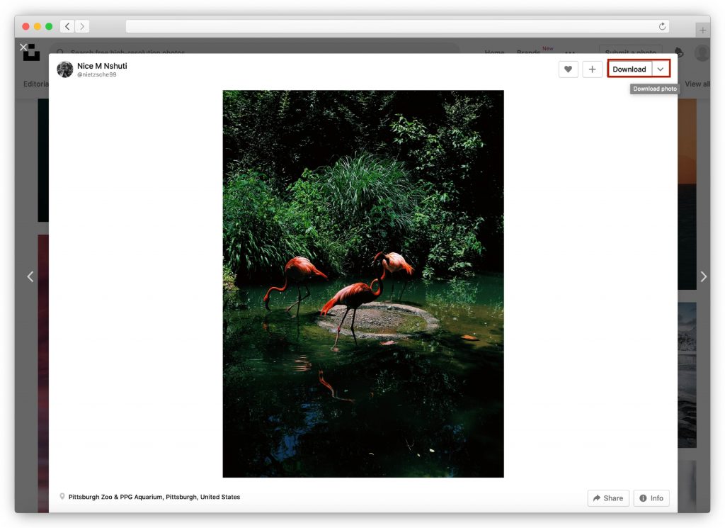 Laden Sie Bilder von Unsplash herunter