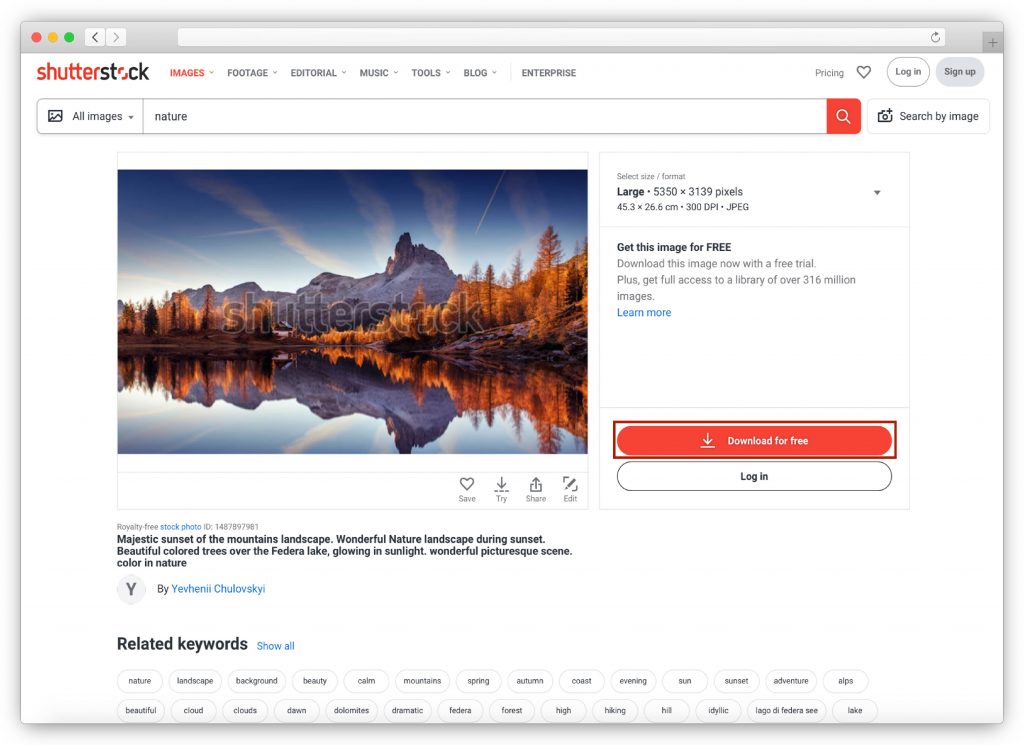Laden Sie Bilder von Shutterstock herunter
