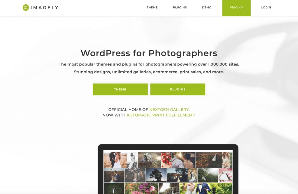 WordPress-Portfolio-Plugins