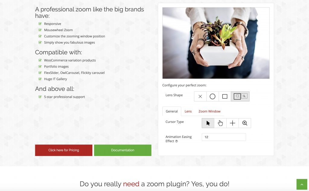 Plugin de edição de fotos WP Image Zoom