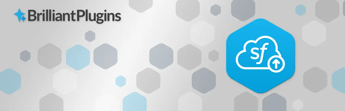 Web-to-Lead für Salesforce WordPress CRM-Plugin