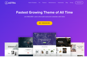 Cea mai bună temă de dezvoltare a site-ului WordPress Astra