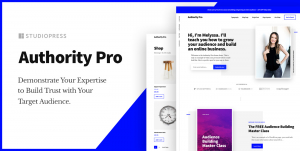 autoritate pro cea mai bună temă de dezvoltare a site-ului wordpress