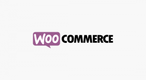 woo-Commerce ist das beste Plugin für E-Commerce-Websites