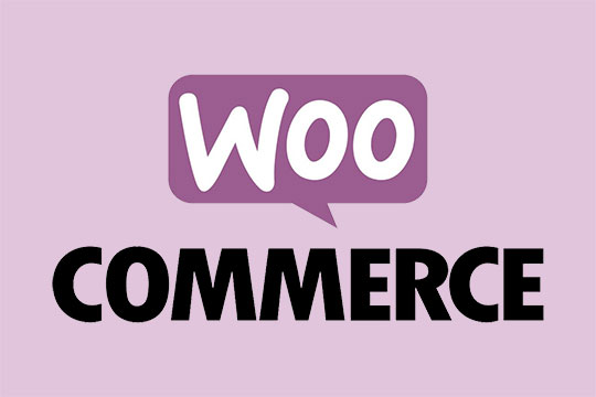 WooCommerce 在德里排名前 5 位的开源 CMS 平台/WooCommerce 网站开发人员