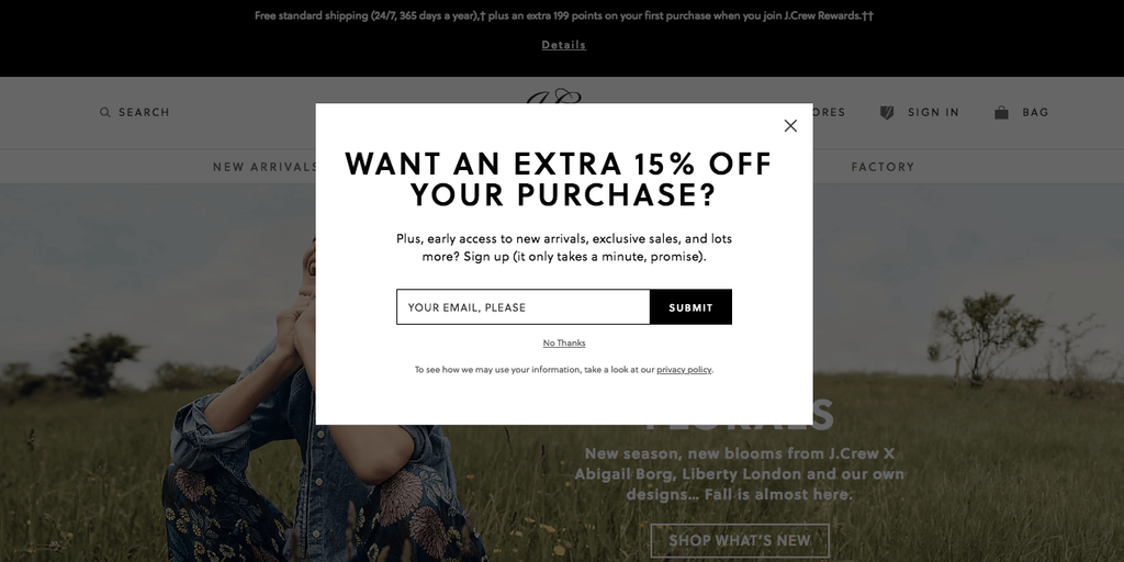 exit-intent-popup-example - 高度なクーポン Coupon Deals Example 12: Exit-Intent Promotions