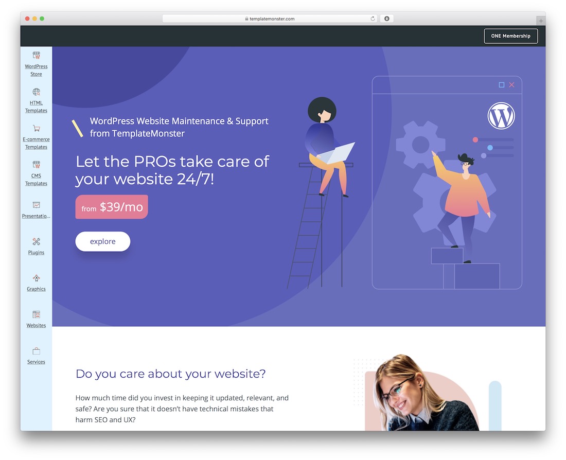 wordpress 网站维护服务