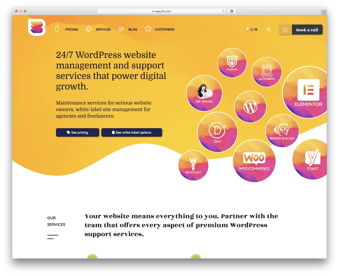 wp 爱好者 wordpress 维护服务