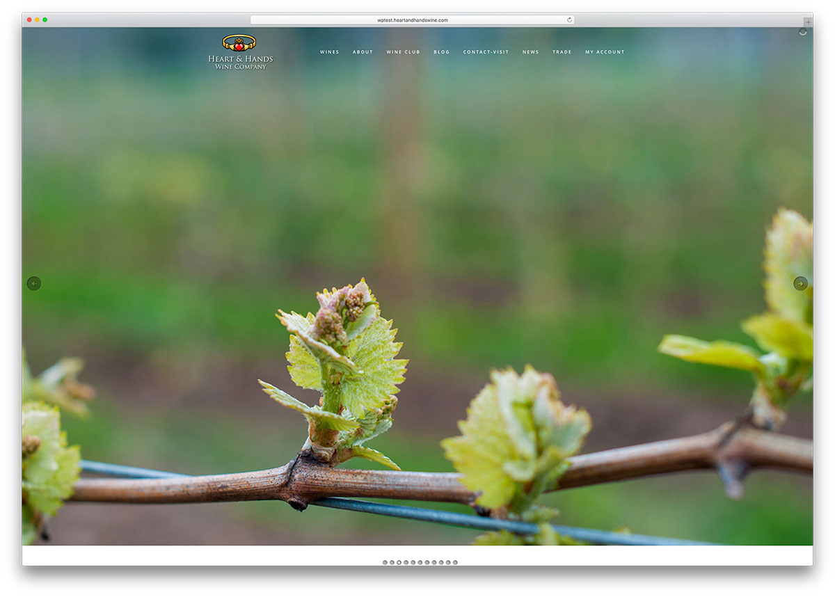 hatiandhandswine-anggur-situs-perusahaan-dengan-visual-komposer