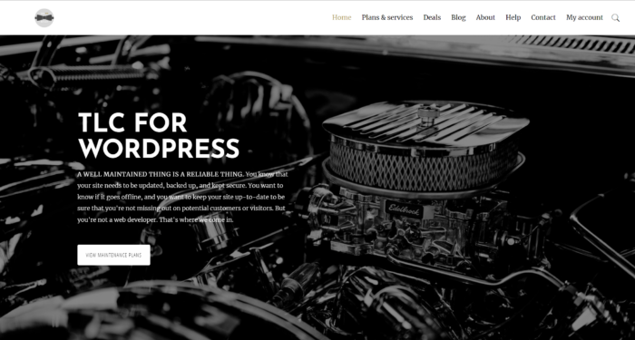 หากคุณกำลังมองหาบริการจัดการ WordPress แบบกำหนดเอง ให้เลือก The WP Butler