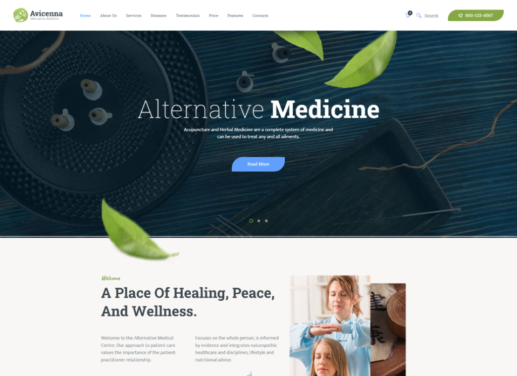 Avicenna - 대체 민간 요법 의사 WordPress 테마