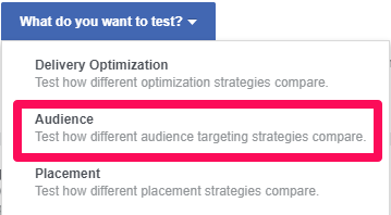 Selectați opțiunea de audiență pentru acest test de audiență personalizat pe Facebook.