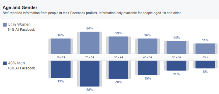 Puteți vedea datele demografice dacă navigați la informații despre public în Meta Business Manager.