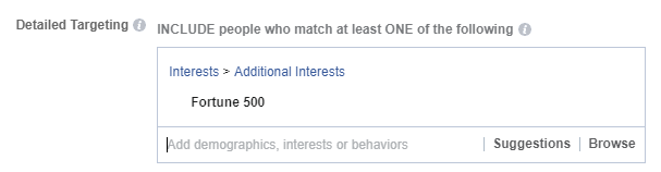 Utilizați descrieri detaliate atunci când creați o strategie personalizată de direcționare a publicului pe Facebook.