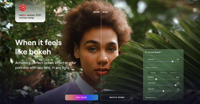 Luminar AI で画像を編集すると、完璧なボケ効果が得られます。