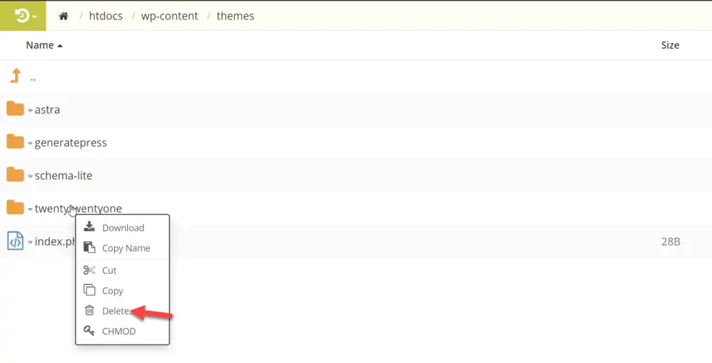 excluir tema wordpress do servidor