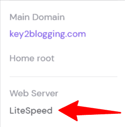 Hostinger'da Litespeed Sunucusu