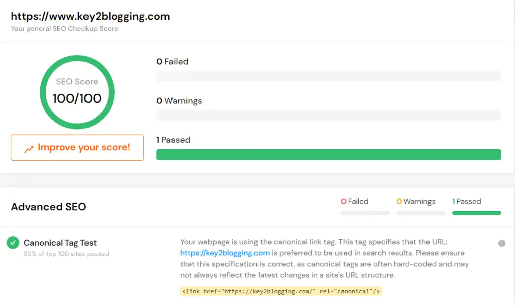 Canonical-Tag-Test im SEO
