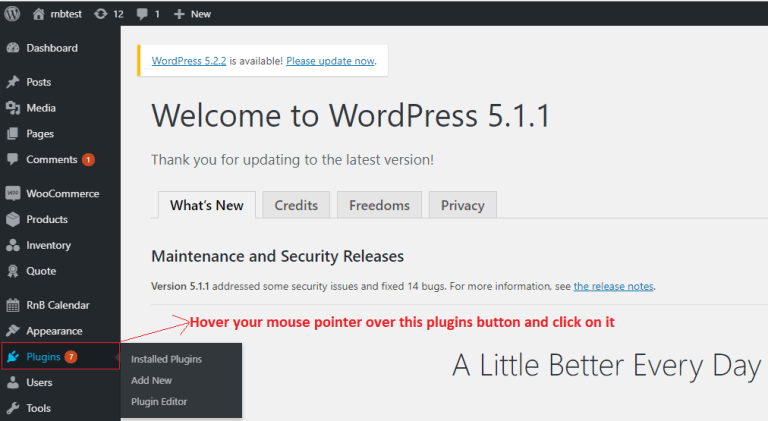 installation of the plugin