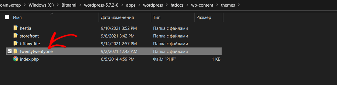 WordPress theme folder local installation