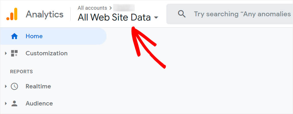click all website data