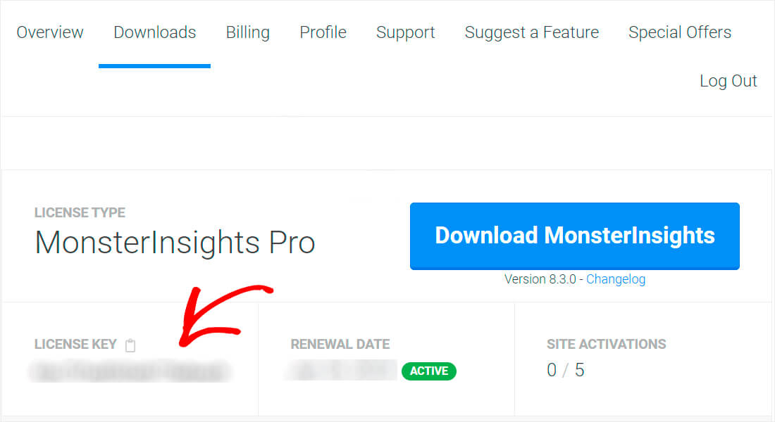 copy your monsterinsights license key