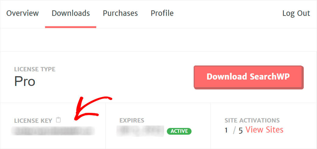 copy your plugin license key