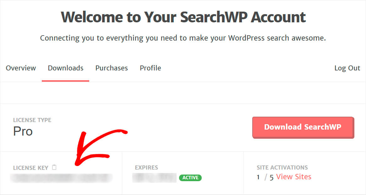 copy your searchwp license key