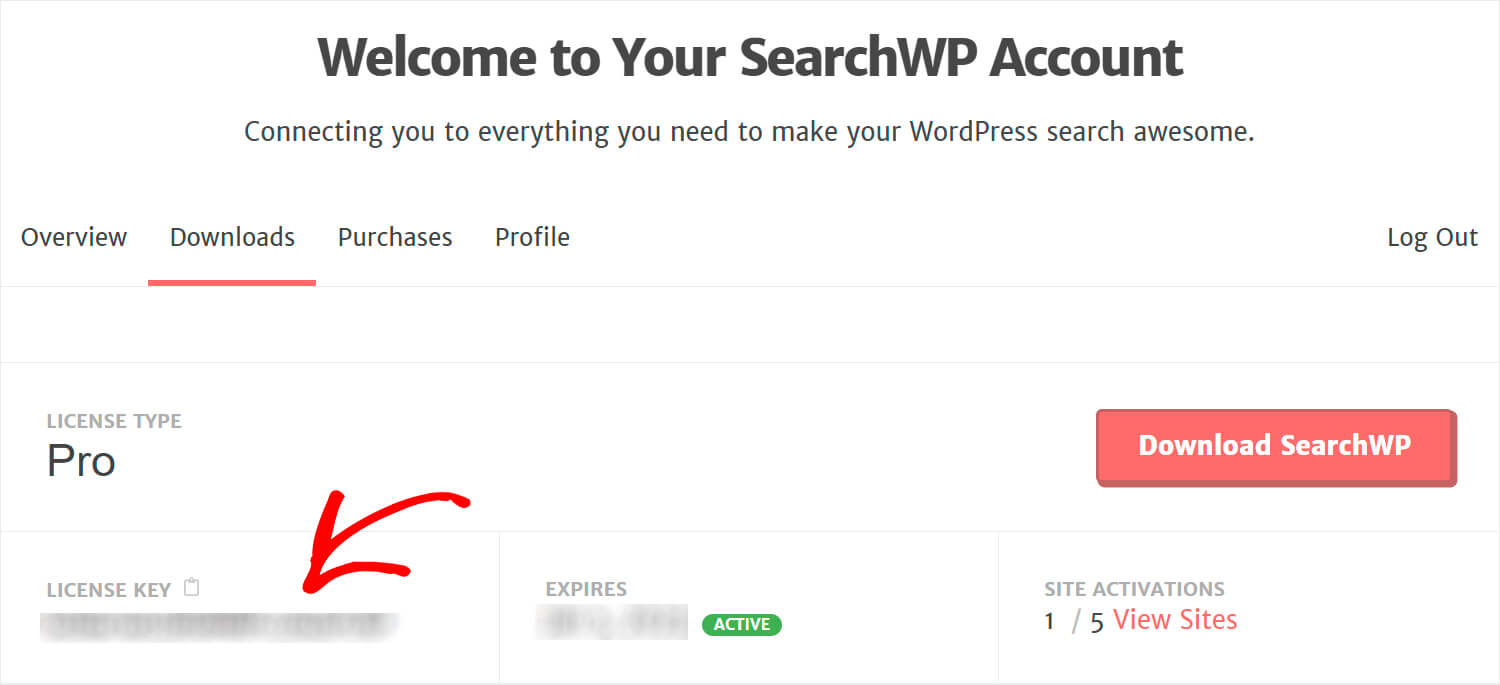 copy your license key