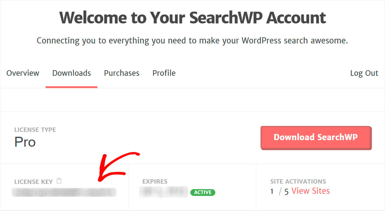 copy your plugin license key