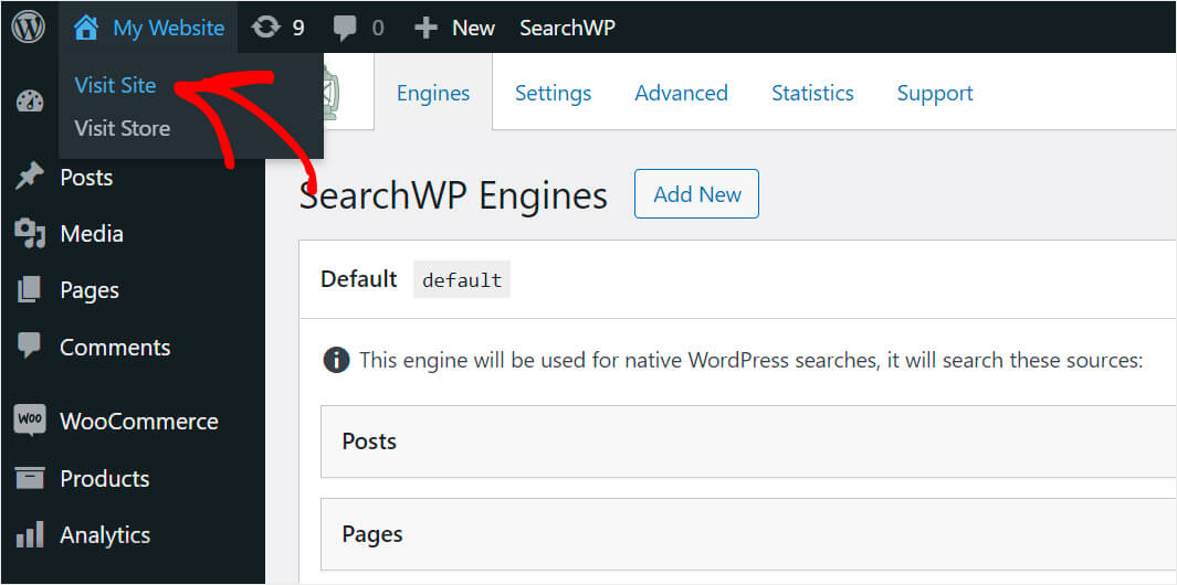 press the visit site button