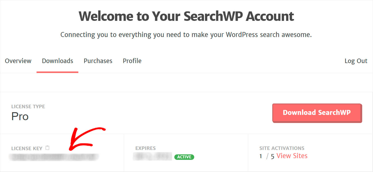 copy your SearchWP license key