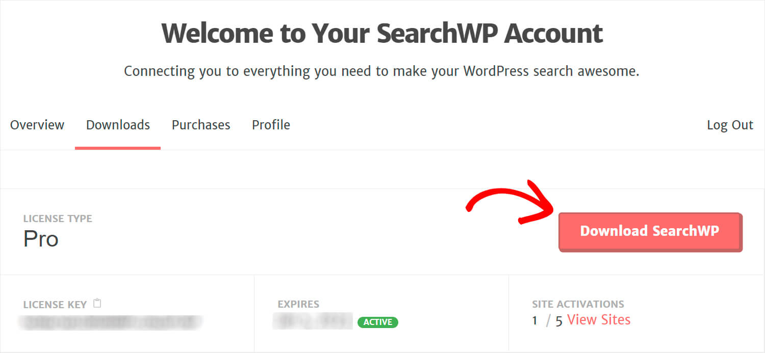 download the searchwp plugin
