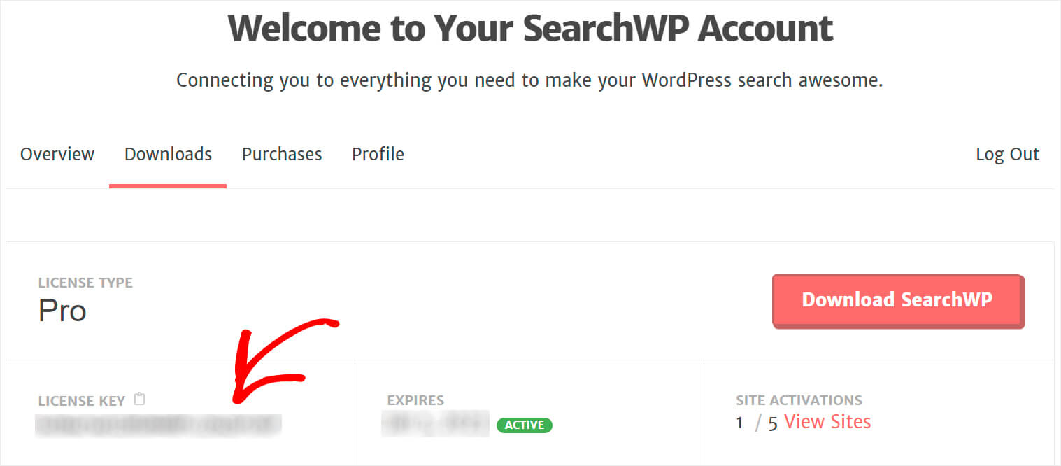 copy the plugin's license key