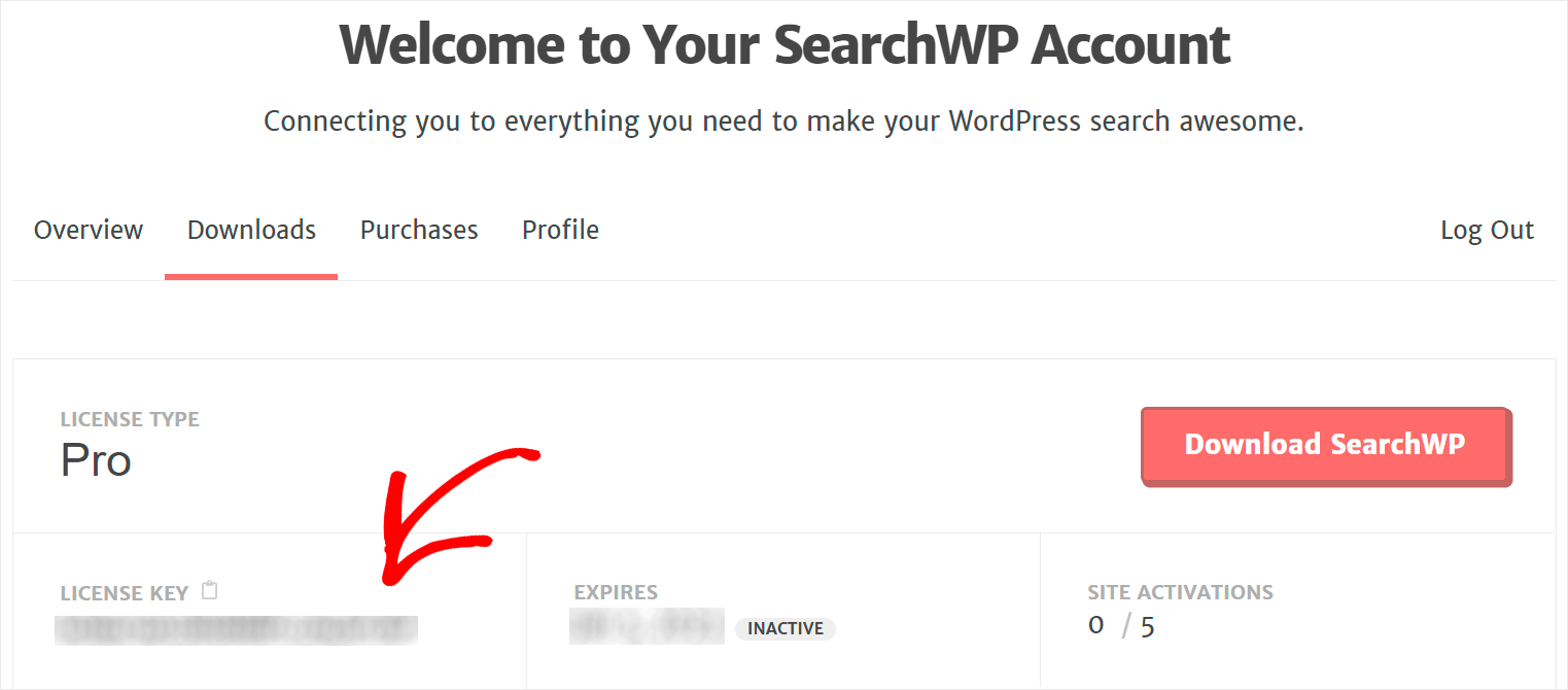 copy your plugin's license key