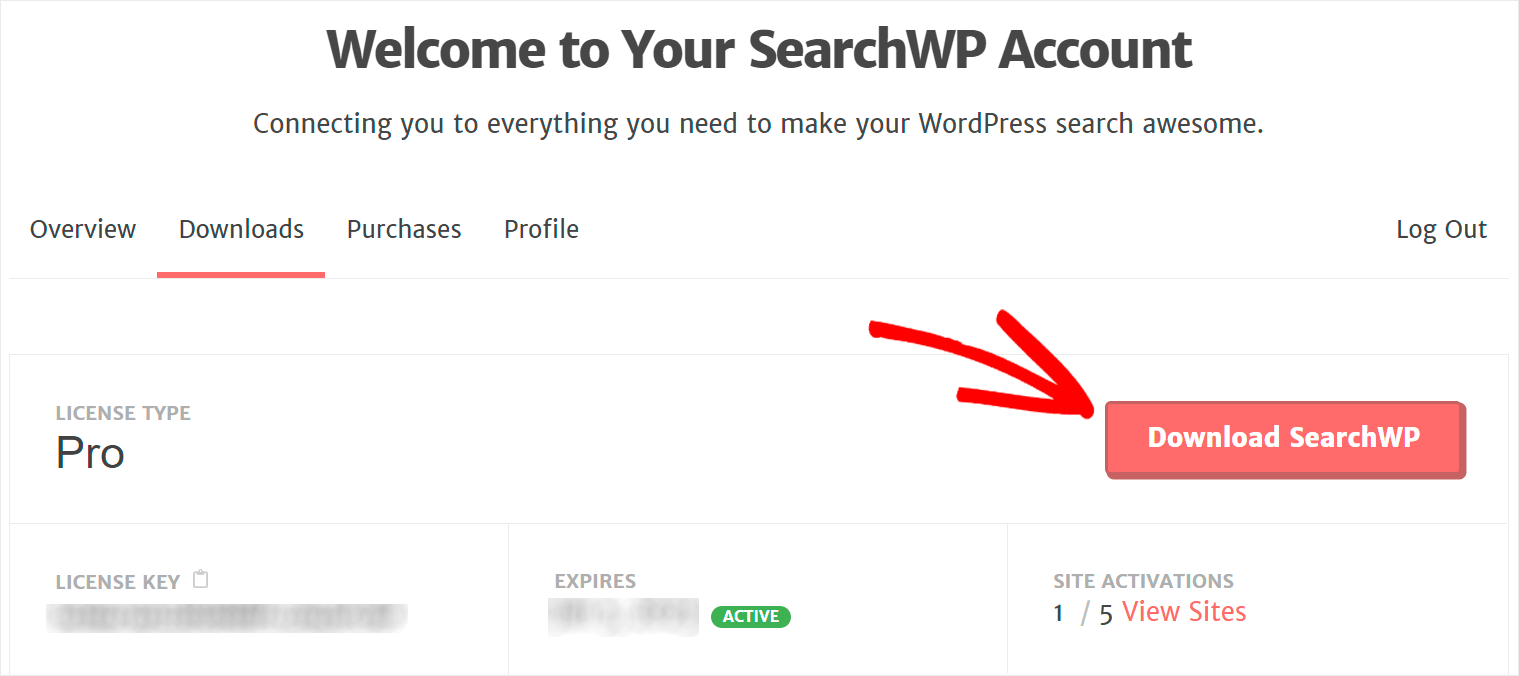 click Download SearchWP