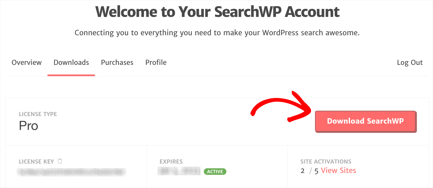 click Download SearchWP