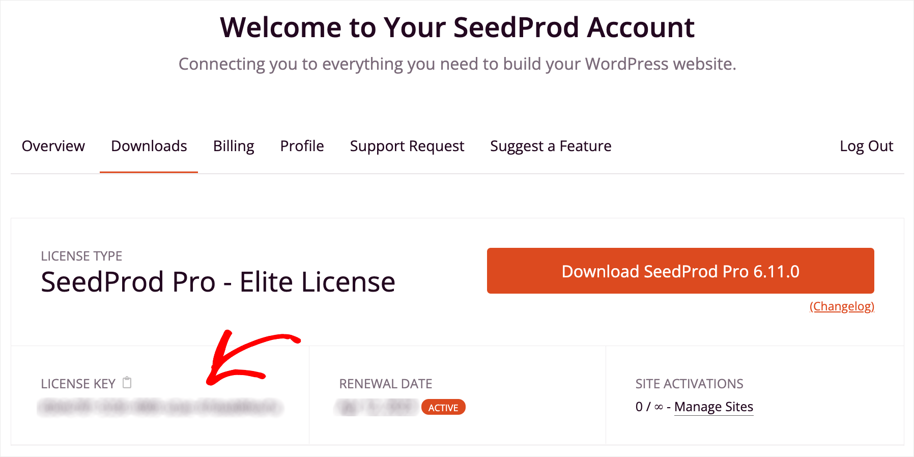 copy your license key
