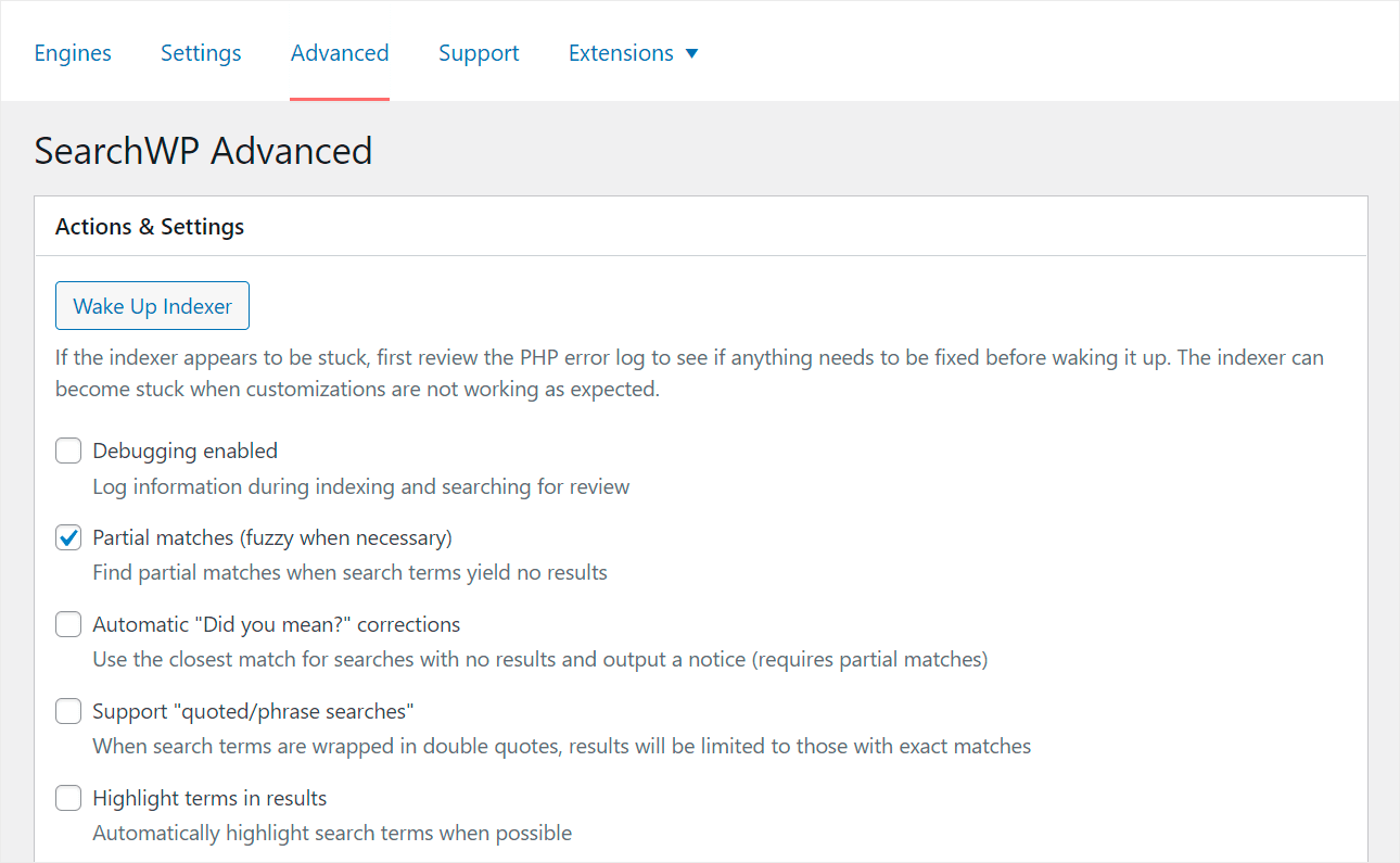 SearchWP advanced tab