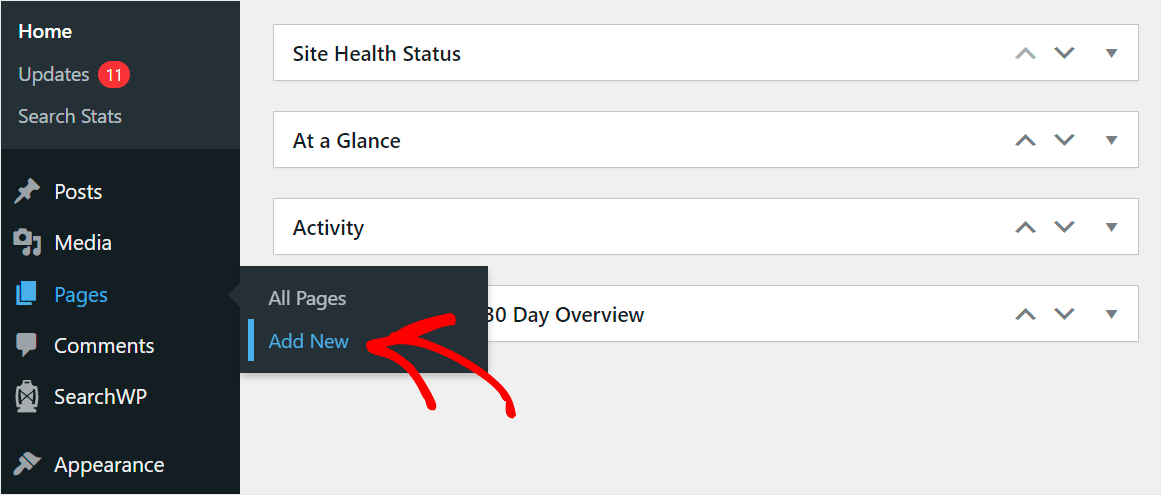 click Pages Add New