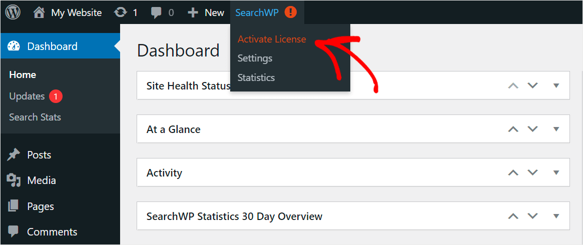choose the Activate License option