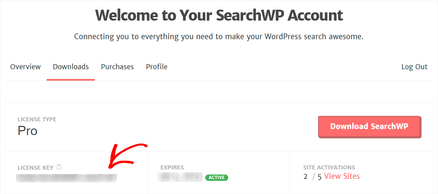 copy your license key