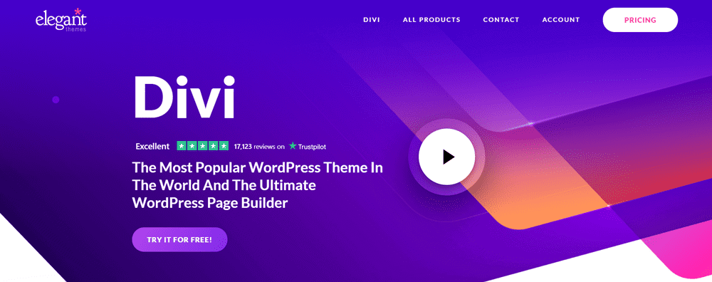 temi eleganti divi
